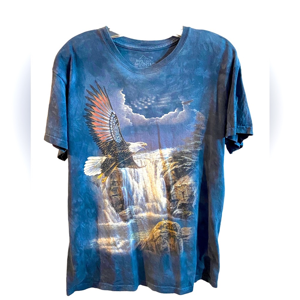 COPY - Vintage 2005 the mountain tee size M eagle waterfall background graphic